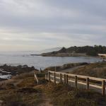 cambria_334 (November 03, 2018)